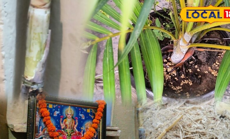 Lakshmi Puja tips | sugarcane reuse ideas | Diwali eco tips | household tricks | zero waste festival | eco-friendly Diwali | home hacks