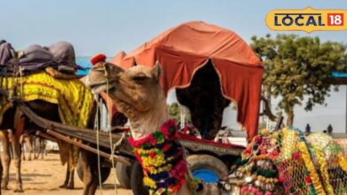 Colorful Culture of Rajasthan at Pushkar Mela 2025.