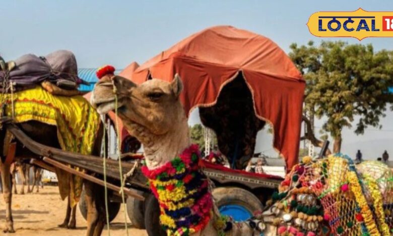 Colorful Culture of Rajasthan at Pushkar Mela 2025.