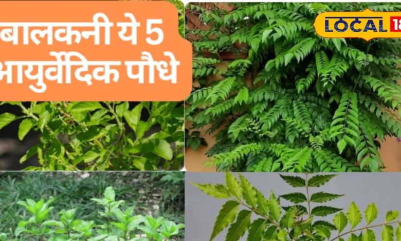 5 Ayurvedic Plants for Your Balcony
