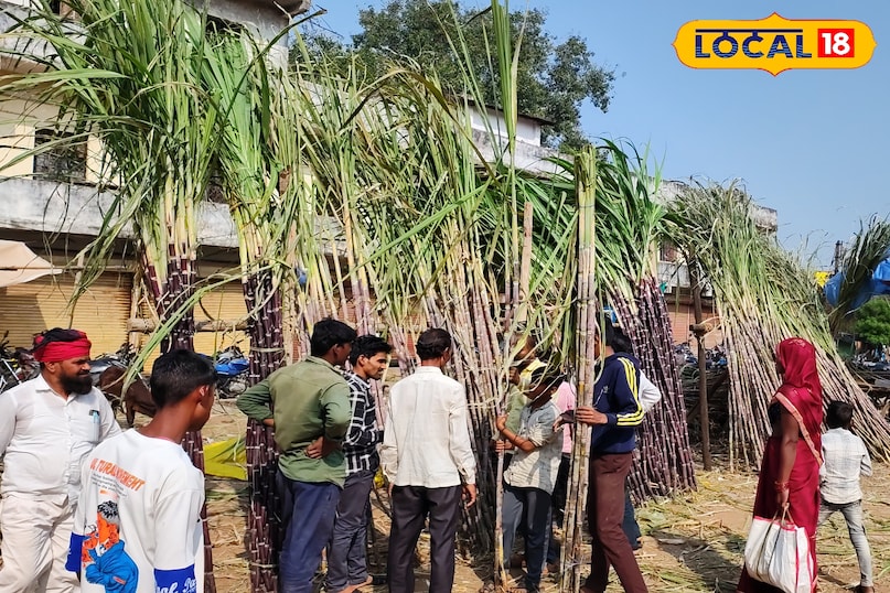 कुकटपल्ली कुकटपल्ली का फल और सब्जी मंडी भी छठ पूजा के लिए सामान खरीदने का एक अच्छा विकल्प है। यहां ताजे और तरह-तरह के फल, गन्ना, सब्जियां, और नारियल यहां से खरीदे जा सकते हैं।