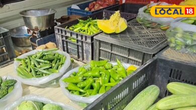 Vegetable Price Hike | Tomato Onion Potato Price | Daily Kitchen Expenses | Rising Grocery Prices | Inflation in Vegetables | Market Price Alert | Food Budget Crisis | Price Surge India | Rajasthan Vegetable Rates