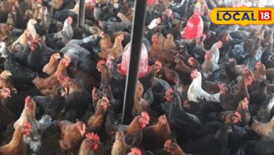 Poultry Farming Business | Chicken Farming in India | Profitable Agribusiness | Low Investment Business | Layer vs Broiler | Government Subsidy for Poultry | Rural Startup Ideas | Agri Entrepreneurship | Farming Income Tips