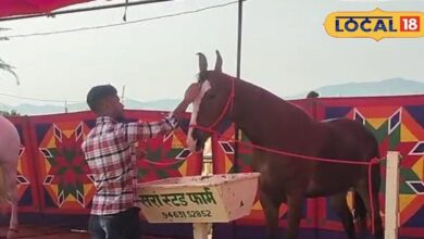 Pushkar Mela 2025 | Nagina Horse | One Crore Horse | Pushkar Fair News | Rajasthan Festival | Champion Horse India | Pushkar Mela Horse Show | Nagina Pushkar | Indian Horse Beauty