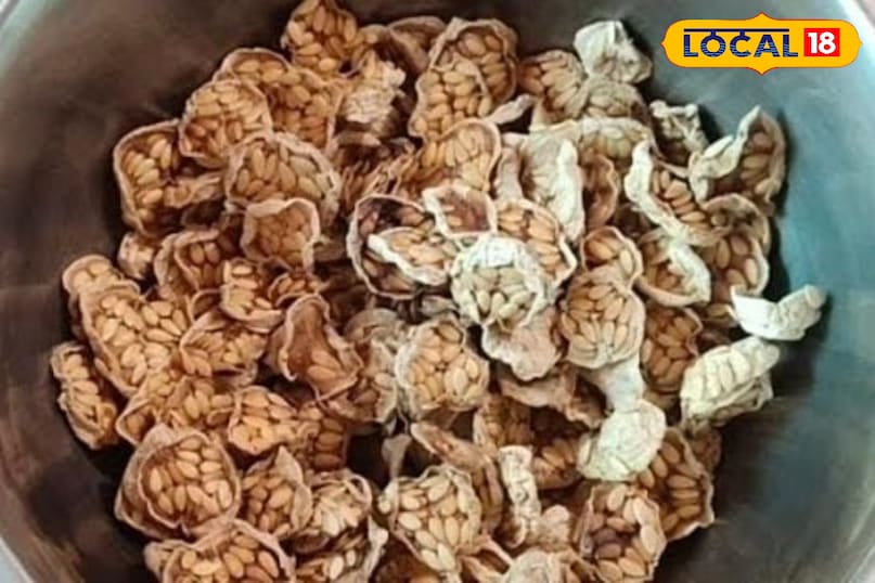 काचरा ग्वारफली  काचरा ग्वारफली