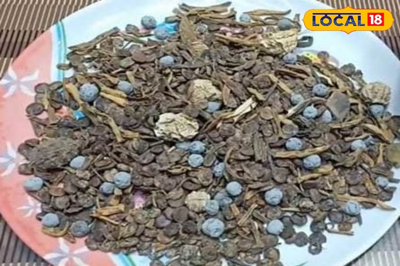 काचरा ग्वारफली काचरा ग्वारफली