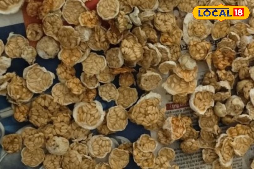 काचरा ग्वारफली  काचरा ग्वारफली