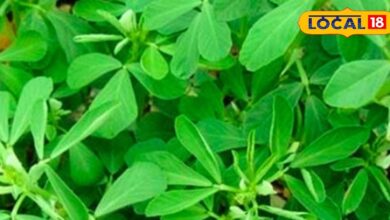 Winter Superfood India | Rajasthani Traditional Food | Healthy Winter Vegetables | Immunity Booster Food | Winter Health Tips 2025