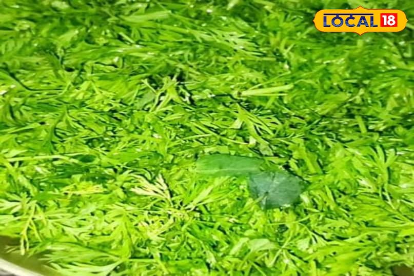 आयरन सब्जी 