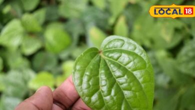 Betel Leaf for Sore Throat Relief | Ayurvedic Home Remedy.
