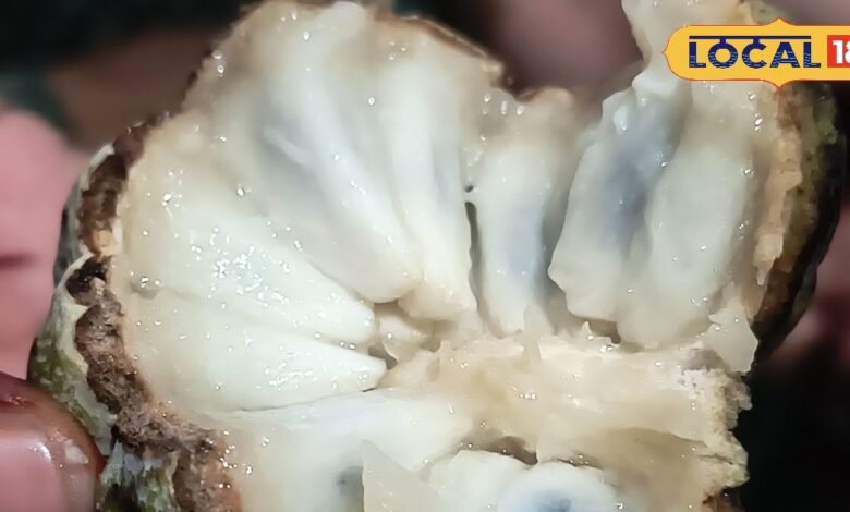 Tips And Tricks: भुल जाएंगे सीताफल खाकर छिलका फेंकना....फेस स्क्रब बनाने से लेकर घर की सजावट तक के लिए है उपयोगी