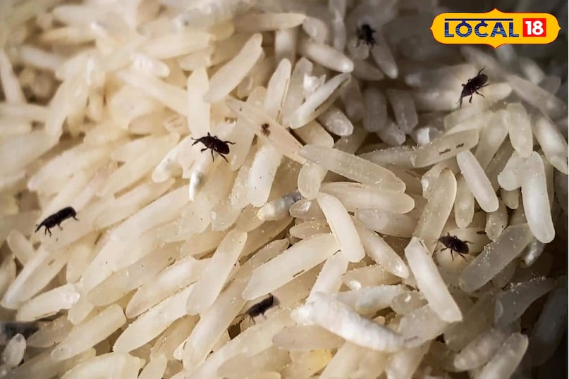 विनेगर का एसिडिक नेचर असहनीय माहौल बना देते है विनेगर का एसिडिक नेचर असहनीय माहौल बना देते है