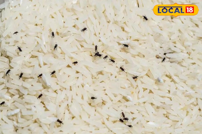 हाथों से कीड़े निकालने का झंझट खत्म हो जाएगा हाथों से कीड़े निकालने का झंझट खत्म हो जाएगा