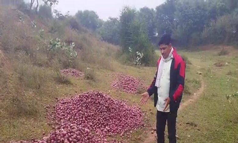 Alwar News: बंपर पैदावार, फिर भी किसान ने क्यों डुबो दी नदी में अपनी फसल? पीछे की कहानी चौंका देगी!