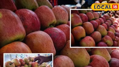 Kashmir Apple Price Drop | Apple Market Rate | Fruit Price Today | Cheap Apples | Farmers Loss | Indian Market Update