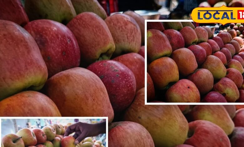Kashmir Apple Price Drop | Apple Market Rate | Fruit Price Today | Cheap Apples | Farmers Loss | Indian Market Update