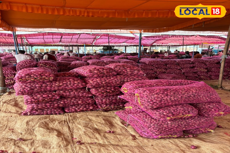 अलवर और खैरथल की मशहूर प्याज