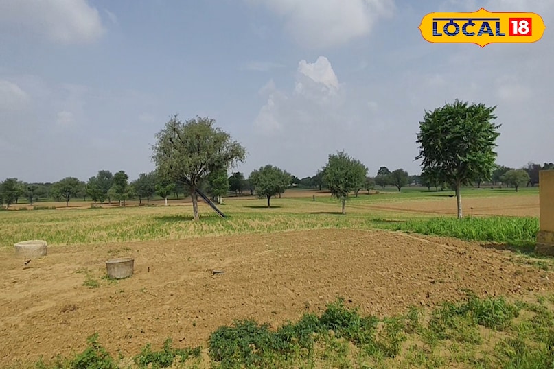 एग्रीकल्चर न्यूज़ 