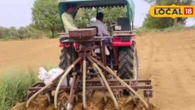 Agriculture News: राजस्थान में बरसे बादल बने किसानों के लिए आफत! सरसों-चना की फसलें बर्बादी के कगार पर