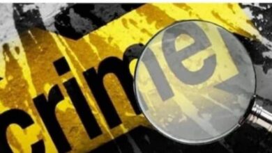 'ऑपरेशन गांजार्जन' में हुआ चौंकाने वाला खुलासा... पहाड़ों पर चल रहा था 'गांजा का साम्राज्य', जानें पूरी खबर!