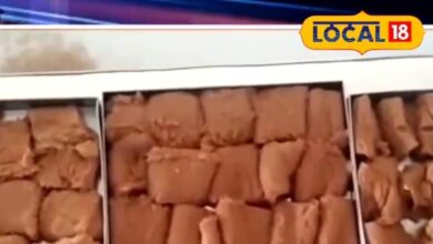 250-Year-Old Chitakpak Sweet of Nagaur Loved by Bollywood Celebrities.