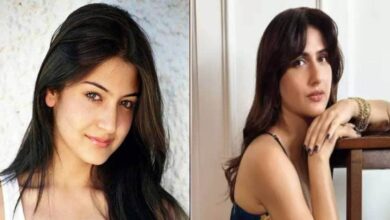 6 माह के अंतराल में रिलीज हुईं दो फिल्में, स्टोरी थी एक जैसी, एक निकलीं ब्लॉकबस्टर, दूसरे ने जीते 41 अवॉर्ड - Salman khan Sultan aamir khan Dangal bollywood wrestling based movies released within six months interval both turn super blockbuster coincidentally