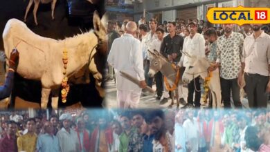 Ajab Gajab: राजस्थान के इस गांव में गधों को दुल्हन की तरह सजाकर की जाती है पूजा, जानें क्यों निभाई जाती है यह परंपरा