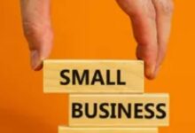 Business Idea: 5000 रुपये लगाकर शुरू करें ये ब‍िजनेस, हर महीने होगी 50000 रुपये तक कमाई