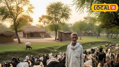 Business Idea: ये बिजनेस आपको भी बना देगा मालामाल, भर-भर के होगी पैसों की बारिश, लागत-मेहनत बहुत कम...