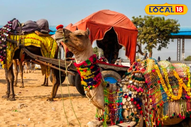Pushkar Mela 2025: राजस्थान का अनोखा सांस्कृतिक मेला.