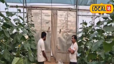 Dausa Agriculture Department | Shri Ganeshpura Village | Mini Israel Agriculture | Modern Farming Techniques | Farmer Innovation | Crop Production Increase