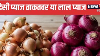 Desi vs Red Onion Which is Better for Health | सेहत के लिए देसी प्याज ज्यादा फायदेमंद या लाल प्याज