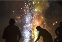 Diwali 2025: पिज्जा और तरबूज जैसे पटाखे... आतिशबाजी की चमक से जगमगाया आकाश, शिवकाशी में पटाखों की बिक्री 7000 करोड़ के पार