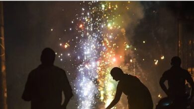 Diwali 2025: पिज्जा और तरबूज जैसे पटाखे... आतिशबाजी की चमक से जगमगाया आकाश, शिवकाशी में पटाखों की बिक्री 7000 करोड़ के पार