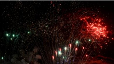 Diwali 2025: सबसे अधिक मुस्लिम आबादी वाले देश में भी मनाई जाती है दिवाली, कई मुल्कों में तो सरकारी छुट्टी भी