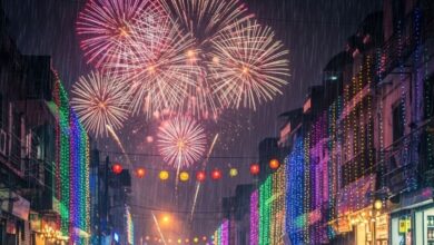 Diwali Weather Alert: खिलेगी धूप या पड़ेगी भारी बारिश... जानें देश में दिवाली पर कैसा रहेगा मौसम का मिजाज