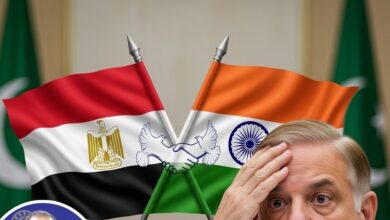 Egypt Foreign Minister India Visit: अरब वर्ल्ड से PAK को सबसे बड़ा धोखा! भारत आ रहे इस मुस्लिम देश के विदेश मंत्री, जानिए भारत को क्यों चुना नया दोस्त?