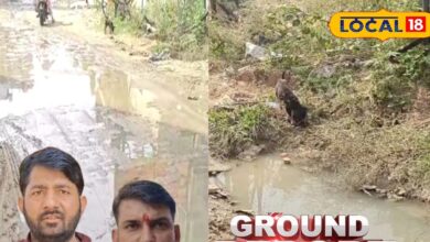Ground Report: खाटूश्याम जी जाने के मुख्य रास्ते खराब, बुजुर्ग-भक्त परेशान, लोग बोले- नगरपालिका के दावे फेल