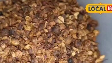 Health Benefits: इस छोटे से बीज को कहते हैं आयुर्वेद का 'सुपरहीरो'! बालों से लेकर जोड़ों के दर्द तक में करता है कमाल - Uttar Pradesh News