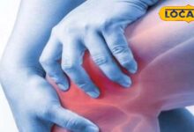 Health Tips: हड्डियों से लेकर दिल तक रखेगा दुरुस्त! इस सर्दी डाइट में शामिल करें ये सुपरफूड, हर उम्र के लिए फायदेमंद - Uttarakhand News
