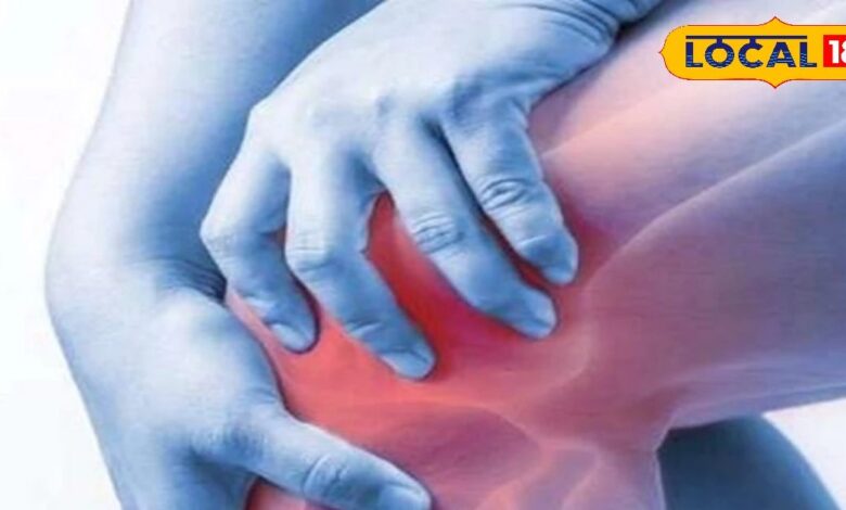 Health Tips: हड्डियों से लेकर दिल तक रखेगा दुरुस्त! इस सर्दी डाइट में शामिल करें ये सुपरफूड, हर उम्र के लिए फायदेमंद - Uttarakhand News