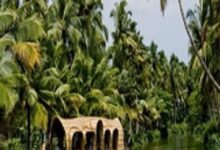 IRCTC Tour Package: बजट में करें केरल की हसीन वादियों की सैर, आईआरसीटीसी लाया बेहतरीन ऑफर - visit munnar thekkady allepey cochin for just rs 37130 irctc kerala tour package