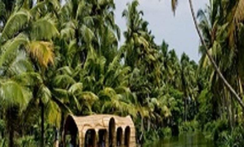 IRCTC Tour Package: बजट में करें केरल की हसीन वादियों की सैर, आईआरसीटीसी लाया बेहतरीन ऑफर - visit munnar thekkady allepey cochin for just rs 37130 irctc kerala tour package