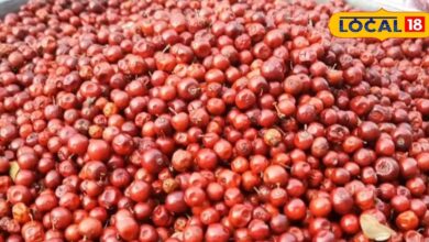 Lal Bor (Ber) Significance in Laxmi Puja, Bhilwara Diwali