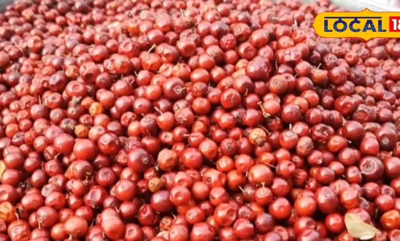 Lal Bor (Ber) Significance in Laxmi Puja, Bhilwara Diwali