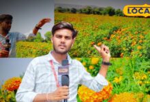 Marigold Farming Profit in Bharatpur for Diwali | Bayana Kunda