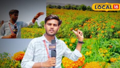 Marigold Farming Profit in Bharatpur for Diwali | Bayana Kunda
