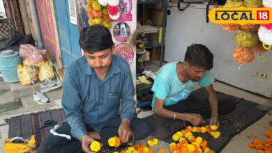 Marigold Flower Demand Rises in Alwar Before Diwali 2025