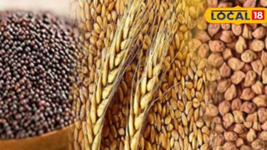 Nagaur Mandi & Merta Mandi Price Difference