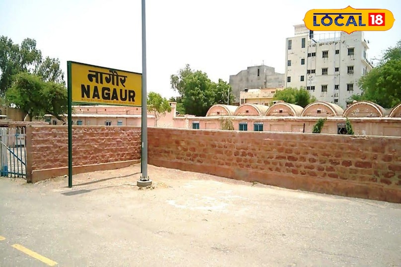 सेफेस्ट कॉलोनी 